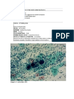 Informe 4 Citología Ginecológica Ya Resuelto