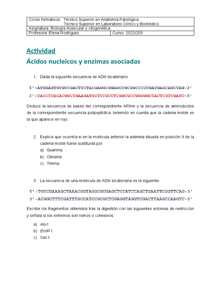 Actividad - Ácidos Nucleicos y Enzimas Asociadas | PDF