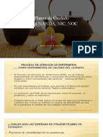 Planes de Cuidado Segun Taxonomias Nanda, Nic y Noc PDF