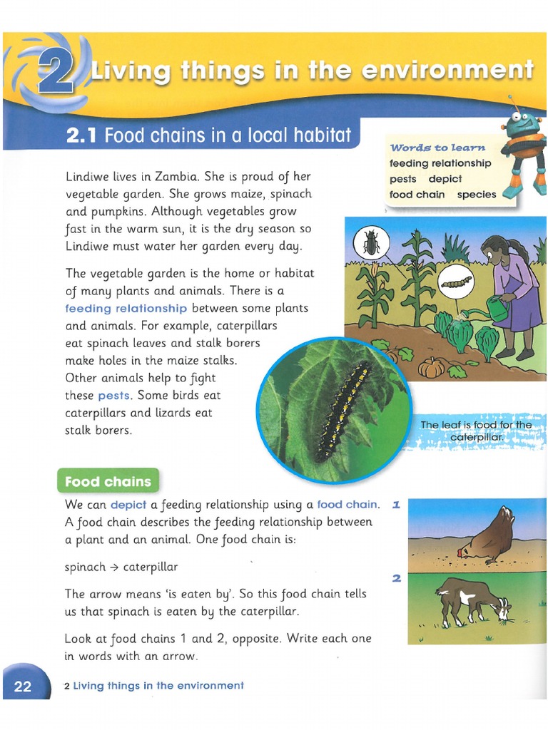 P6 Science Learner's Book-Unit (2) | PDF