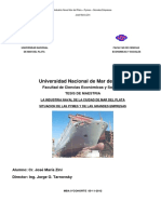 La Industria Naval de La Ciudad de MDP Situacion de Las PYMES y Grandes Empresas