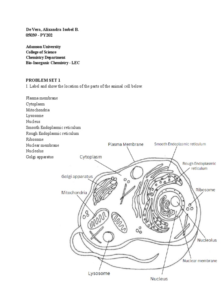 Animal Cell Structure and Functions Guide | PDF