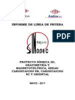 Informe Final - Línea de Prueba - 2d Carohuaicho - 28052017
