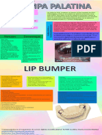 Trampa Palatina y Lip Bumper
