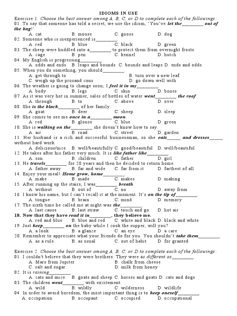 Idioms in Use | PDF