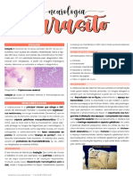 Práticas Morfopatologia - Aula 6 - Neurocisticercose e Neurocriptococose