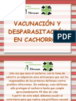 Vacunacion y Desparasitacion en Cachorros