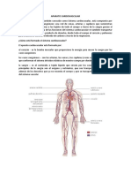 Aparato Cardiovascular