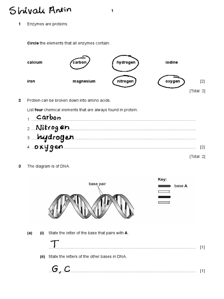 Biomolecules Worksheet PDF Glucose Enzyme