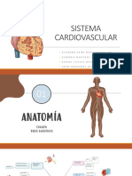 Tema 4 Sistema - Cardiovascular Modificada