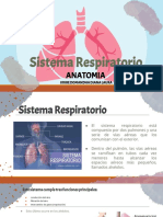 Tema 4 Sistema - Respiratorio