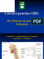 Lucrari Practice ORL III Faringe