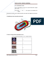 1,2,3,4 - Exemple de Bacterii