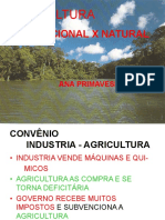 Agricultura Convencional X Natural Palestra