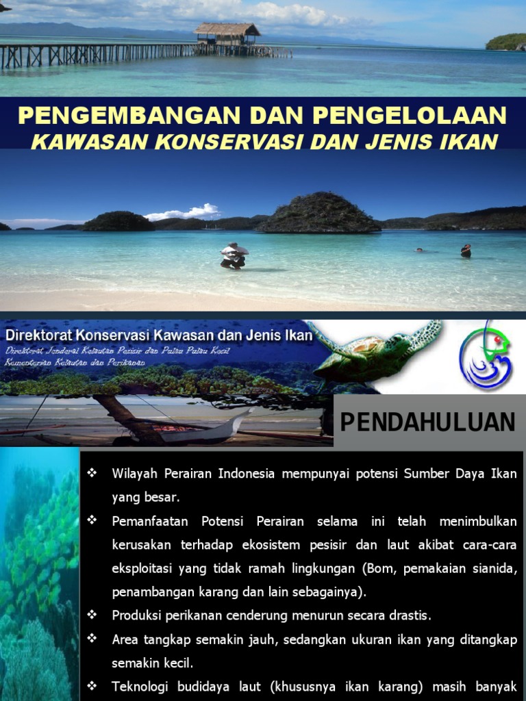 Kawasan Konservasi