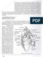 2007 Topografska Anatomiya Vankov0182