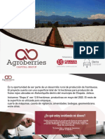 Presentación BROCHURE AGROBERRIES