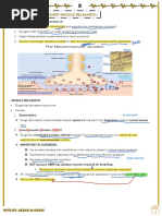 Anesthesia 9 - Muscle Relaxents