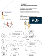 Sistema Esquelé Tico: Conjunto de Ossos e Cartilagens, Além de Ligamentos e Tendões. Sobre Os Ossos