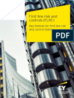 Ey-First-Line-Risk-Controls 1,5 Line