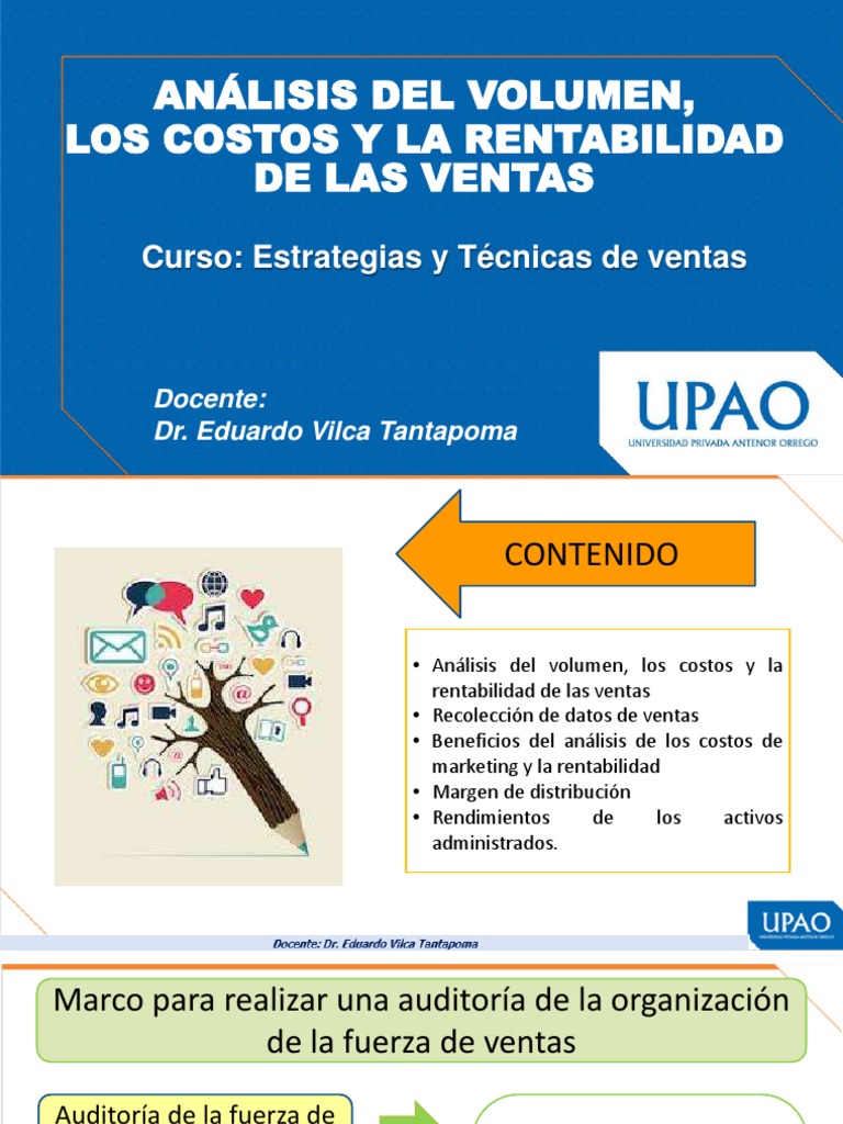 Análisis de Costos y Rentabilidad en Ventas | PDF | Marketing | Software