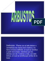 Arbustos 1