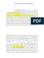 Divorcio Por Causa Determinada y Sus Anexos, Varon