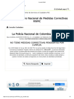 Consulta RNMC - Sin medidas pendientes