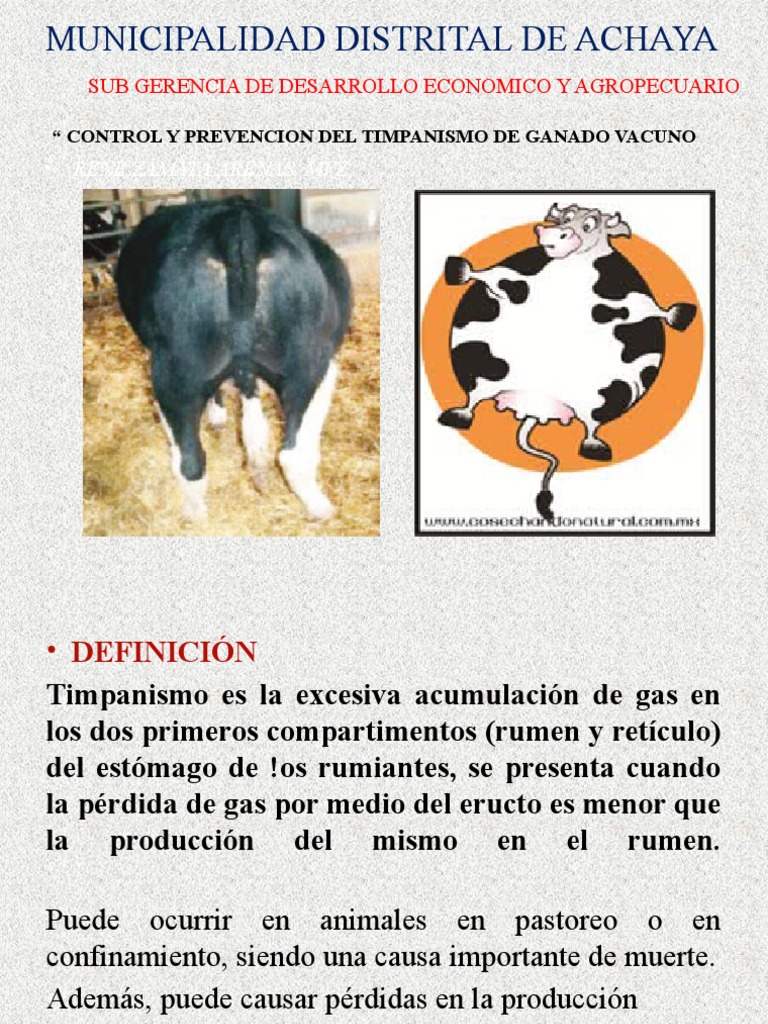 Control Del Timpanismo | PDF