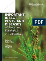 Important Insect Pests and Diseases of Pinus and Eucalyptus in Colombia