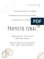 Proyecto Final AAVM