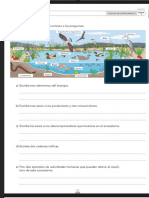 Naturales 6º ANAYA Refuerzo - PDF - Google Drive 6