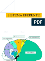 PDF 02 04 Sistema Eferente