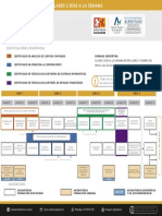 Malla curricular contador auditor con clases 2 días a la semana