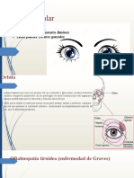 Patologia Ocular