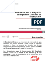 Lineamientos para la Integración del Expediente Clínico en las UNEME-CAPA