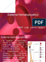 Sistemahematopoytico 101011163408 Phpapp01