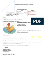 Pasos de Las Estrategias Lectoras-Ejemplo