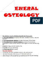 Ostyology