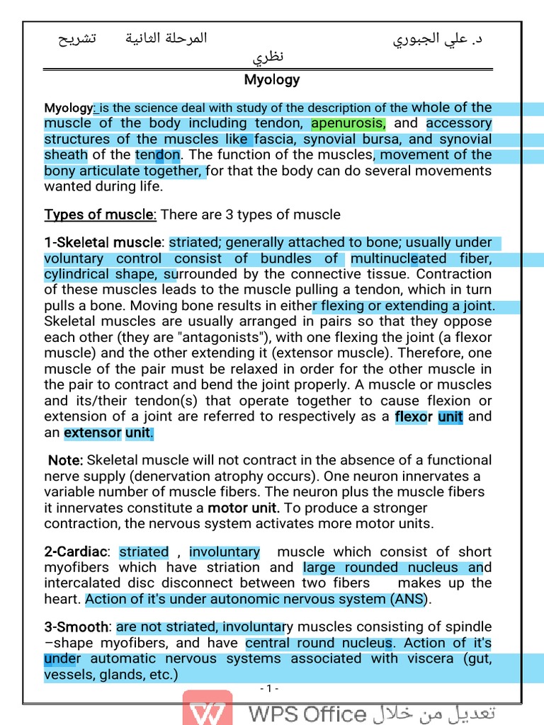 Myology | PDF | Skeletal Muscle | Tendon