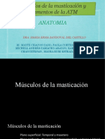 Musculos de La Masticacion y Ligamentos de La Atm F PP