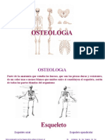 Osteologia Dra Erma