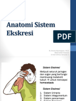 Fix Anatomi Sistem Ekskresi