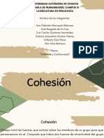 Cohesión y Conformidad2