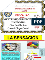CEPREUNAC-04 Sensación, Percepción, Memoria