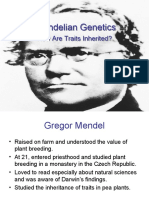 Mendel Genetics PPT