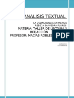 Analisis Textual La Delincuencia