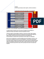 19 Structure and Registers - Traduz