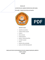 Makalah Maternitas Pemeriksaan Diagnostik Dan LAB (KEL 2)