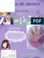 Presentación Microbiología Básica de Siembra Tipo Picadura.